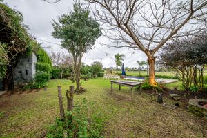 Image 62 - 888578