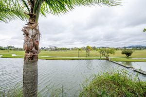 Image 65 - 888578