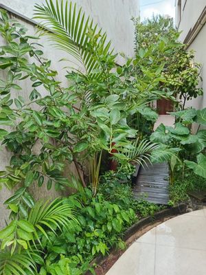 Image 18 - 888648