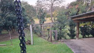 Image 2 - 888782