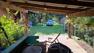 Image 5 - 888782