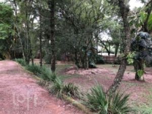 Image 4 - 888897