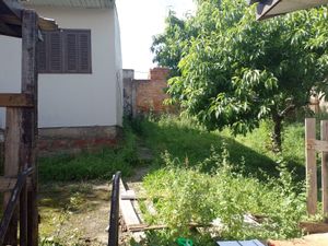 Image 3 - 889007