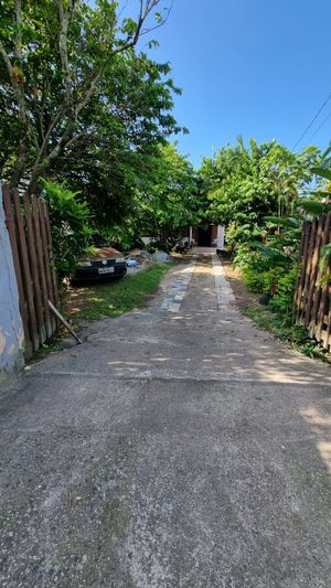 Image 25 - 889015