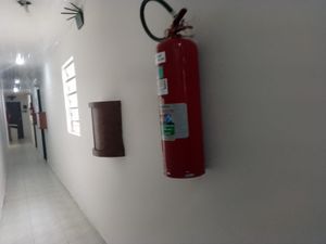 Image 1 - 889087