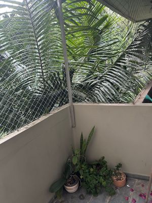 Image 8 - 889350