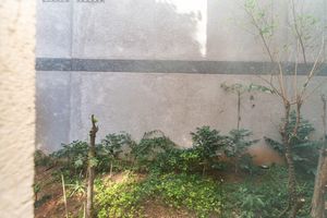 Image 6 - 889393