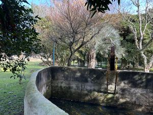 Image 6 - 889494