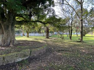 Image 3 - 889494