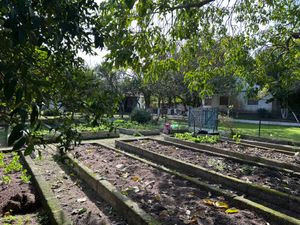 Image 5 - 889494