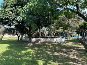 Image 7 - 889494