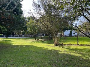 Image 10 - 889494