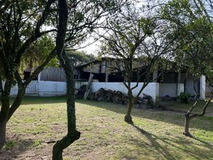 Image 16 - 889494