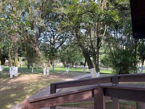 Image 17 - 889494