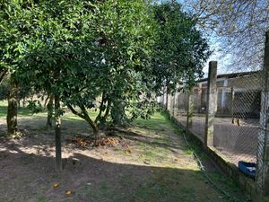 Image 18 - 889494