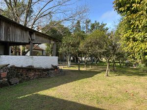 Image 19 - 889494