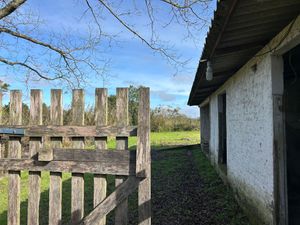 Image 12 - 889494