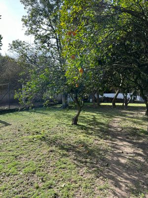 Image 20 - 889494