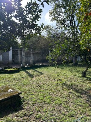 Image 21 - 889494