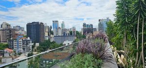 Image 32 - 889566