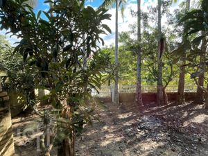 Image 17 - 889599
