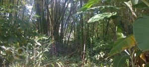 Image 1 - 889624