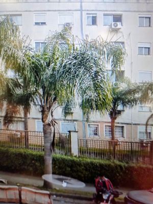 Image 3 - 889652