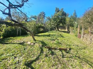 Image 2 - 889752