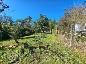 Image 1 - 889752