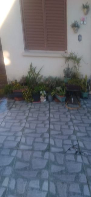 Image 3 - 890019