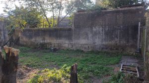 Image 3 - 890060