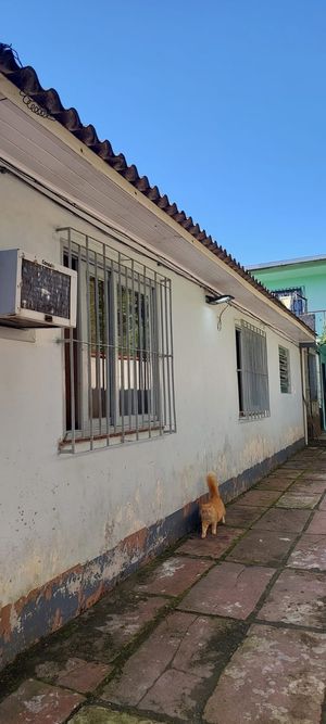 Image 19 - 890074