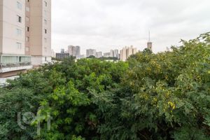Image 19 - 890092