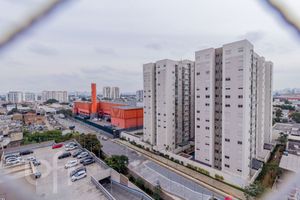 Image 6 - 890095
