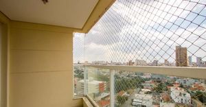 Image 33 - 890247