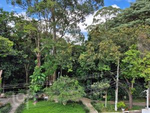 Image 24 - 890403