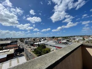 Image 8 - 890459