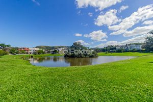 Image 4 - 890464