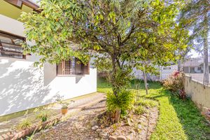 Image 87 - 890489