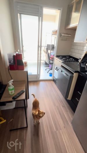 Image 1 - 890528