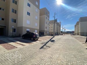 Image 7 - 890537