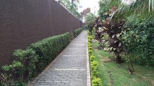 Image 3 - 890564
