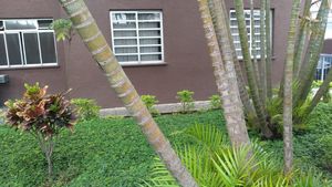 Image 12 - 890564