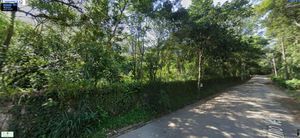 Image 7 - 890647
