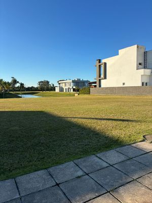 Image 153 - 890721