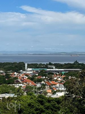 Image 19 - 890848