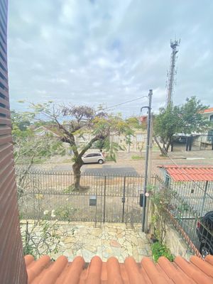 Image 19 - 891015