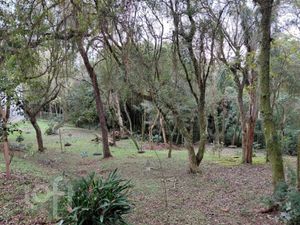 Image 12 - 891045