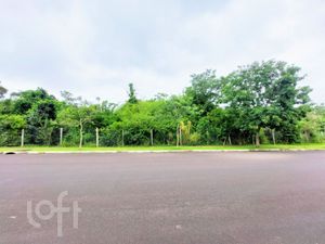 Image 4 - 891161
