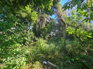 Image 27 - 891170
